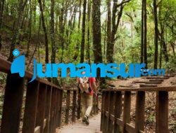 Wisata Batang: Menikmati Keindahan Alam di Kabupaten Batang